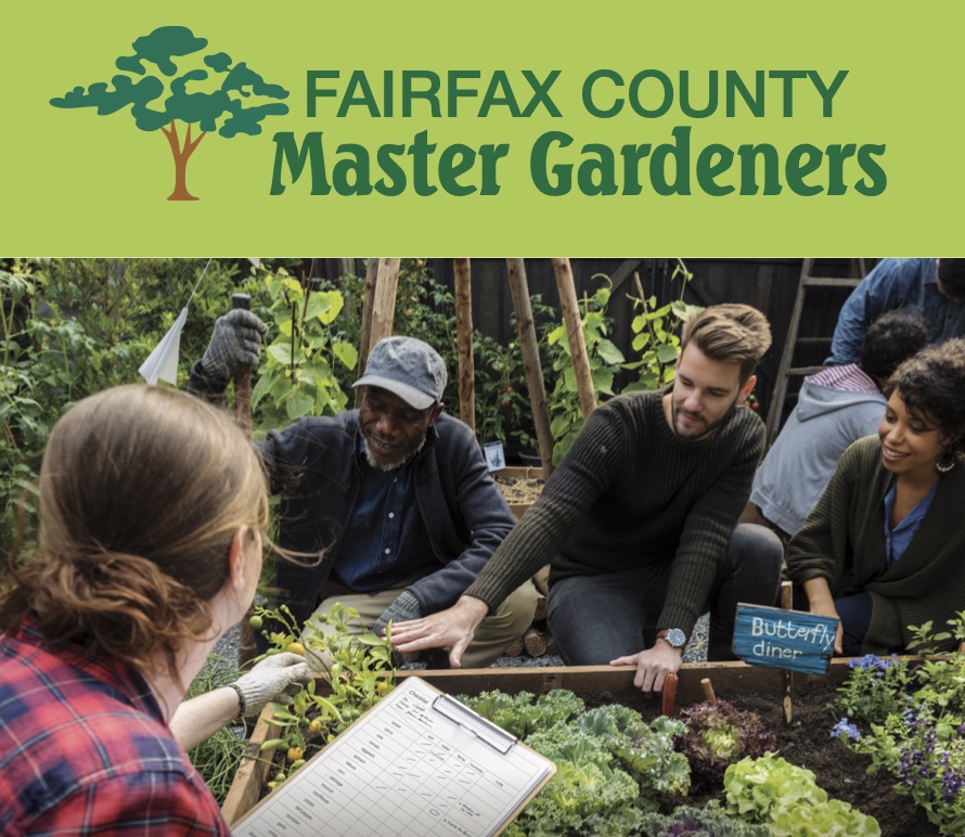 Fairfax County Master Gardeners Maker Photo